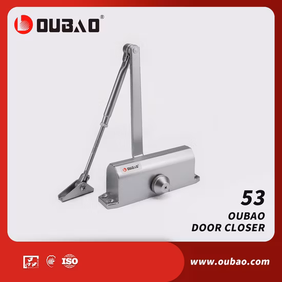Building Door Hardware Fittings Security Aluminium Automatic Adjustable Door Control Fire Rated Door Closer for 15-30kg Door